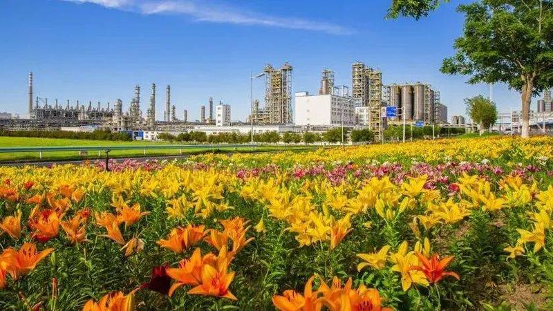 上海色母粒定制加工公司